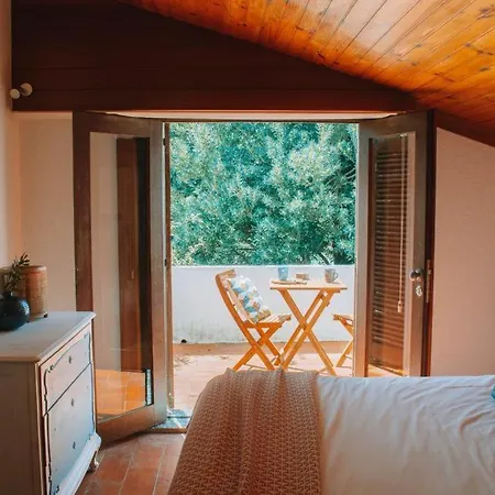 Casa Com 4 Quartos E Jardim Espacoso - Santa Sofia Villa Moledo (Viana do Castelo)
