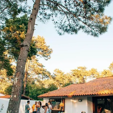 Casa Com 4 Quartos E Jardim Espacoso - Santa Sofia Villa Moledo (Viana do Castelo)