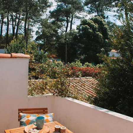 Casa Com 4 Quartos E Jardim Espacoso - Santa Sofia Villa